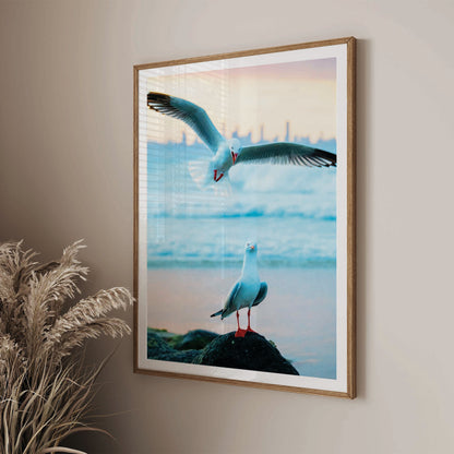 A Seagulls Photobomb Print